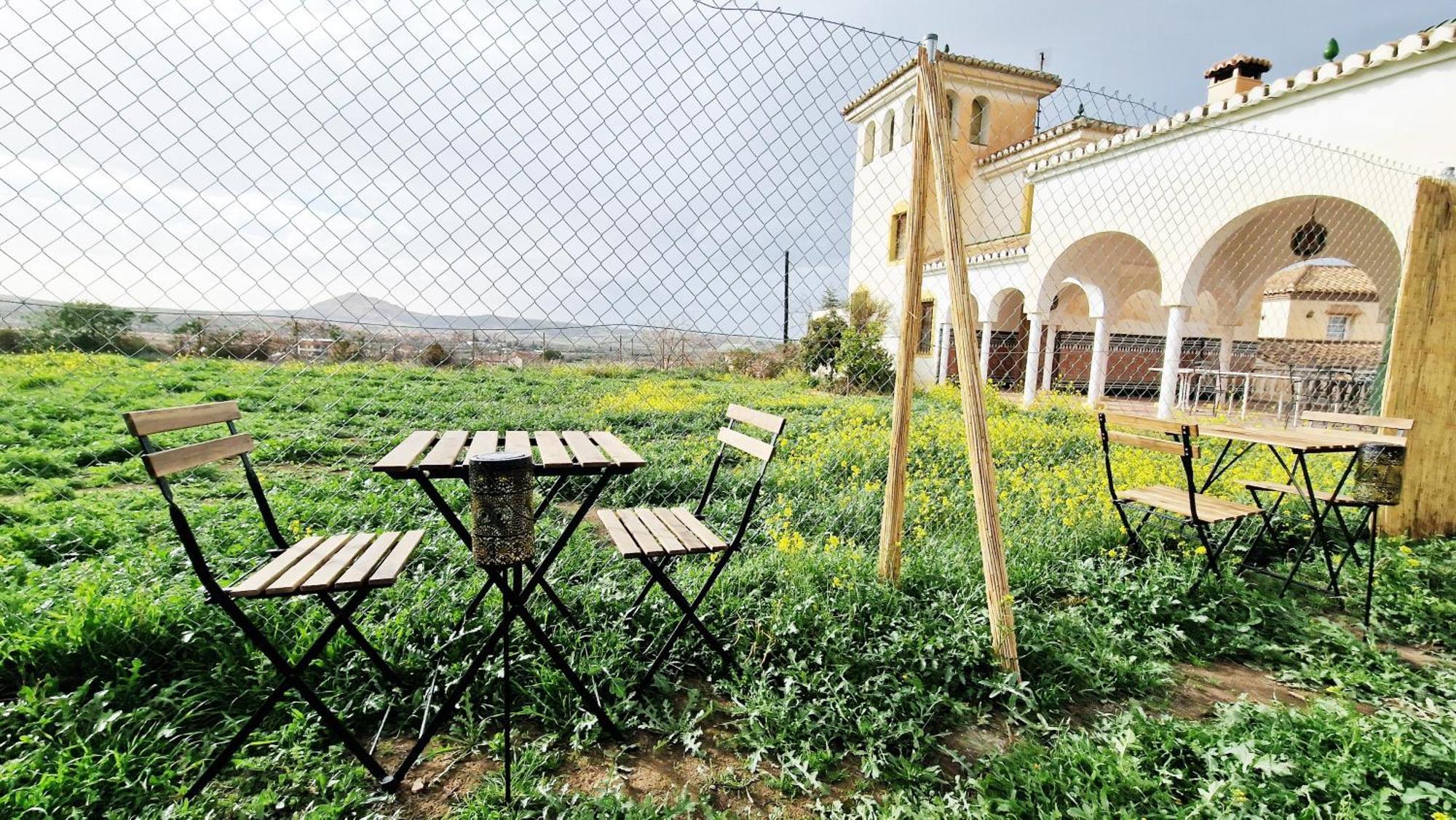 Aa Guest - Mulhacen Del Jardin Sierra Nevada Lejlighed Alhendín Eksteriør billede